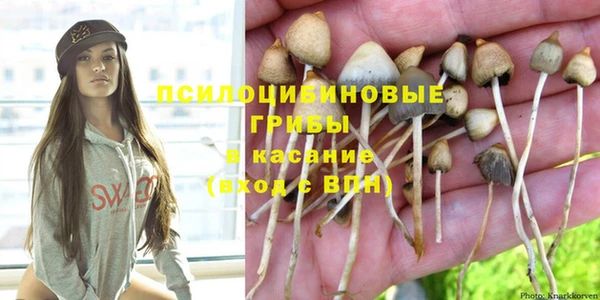 PSILOCYBIN Липки