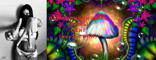 PSILOCYBIN Липки