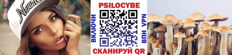 Галлюциногенные грибы Psilocybe  Купить закладки  Костерёво 